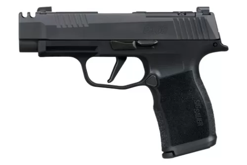 Sig Sauer 365XL380COMP P365XL 380 ACP 12+1 3.10" Black Ported Barrel, Black Nitron Stainless Steel Optic Cut/Ported/Serrated Slide, Black Stainless Steel Frame w/Picatinny Rail, Textured Grip, SIG-LO