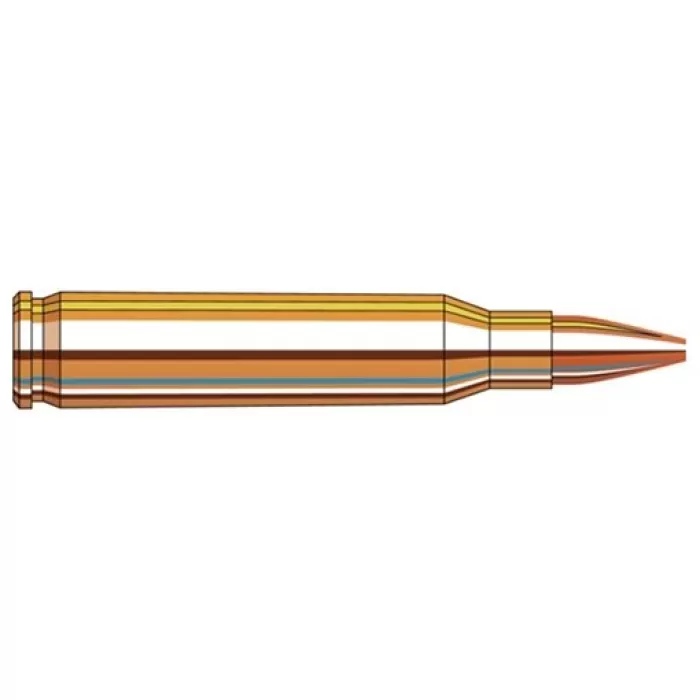 Horn Shot Frontier 223Rem 55Gr Hollow Point 1000/2 FR146 090255711370
