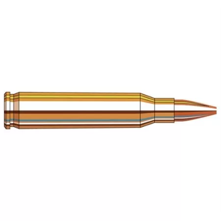 Horn Shot Frontier 223Rem 55Gr Hollowpoint 500/120 FR144 090255711363