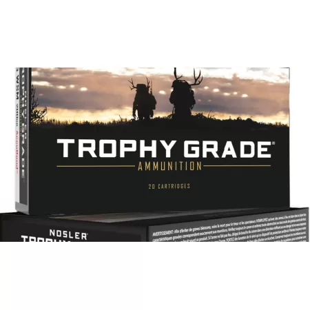 Nosler Trophy Grade TGA-300 RUM 200g AB SP (20ct) Ammunition 60165