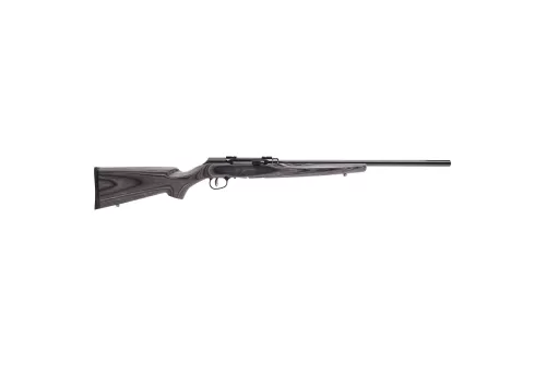 Savage A17 Target Sporter Laminate Semi-automatic 17HMR 22
