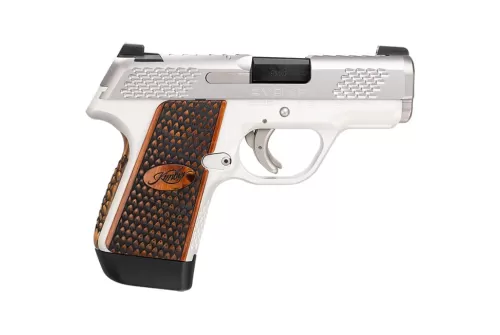 Kimber EVO SP Stainless Raptor 9mm Luger 3.16in Stainless Pistol - 7+1 Rounds