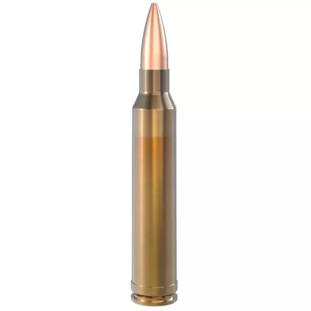 Lapua 300 Winchester Magnum 185gr Scenar OTM Ammo Box of 10 4317308