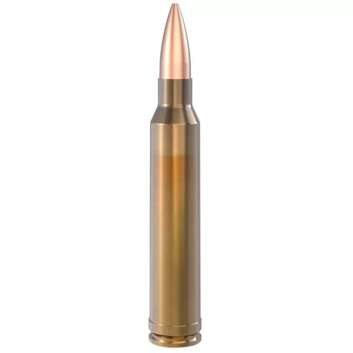 Lapua 300 Winchester Magnum 185gr Scenar OTM Ammo Box of 10 4317308 Lapua 300 Winchester Magnum 185gr Scenar OTM Ammo Box of 10 4317308