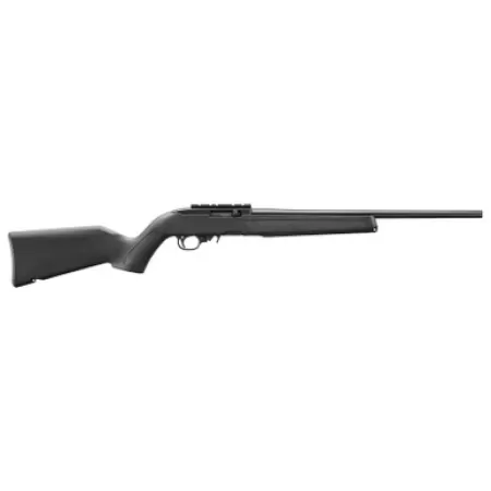 RUGER 10/22 Standard .22LR 18.5in 10rd Black Polymer Stock Semi-Auto Rifle w/ Scope Rail (32033)