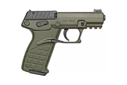 Kel-Tec P17BGRNOPTIC P17  22 LR 16+1 3.80