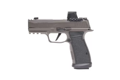 SIG SAUER P365-AXG Legion 9mm Luger 3.1in 3x17rd Legion Gray Striker-Fired Pistol w/ XRAY3 Day/Night Sights (365AXGCA-9-LEGION-RXSL)