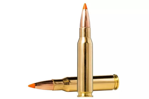 Norma TipStrike .308 Win 170gr Centerfire Rifle Ammo (20/box) 20174352