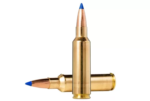 Norma Bondstrike Extreme .300 Rem Ultra Mag 180gr Centerfire Rifle Ammo (20/box) 20176102