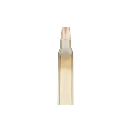 Cor Bon 223 Rem 69 Grain Hollow Point Boat Tail Brass Cased Pistol Ammo, 20 Rounds, PM22369/20