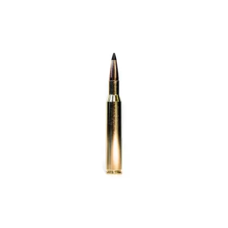 Grizzly Cartridge Co., .25-06 Rem., Swift Scirocco Polymer-Tip BT, 100 Grain, 20 Rounds