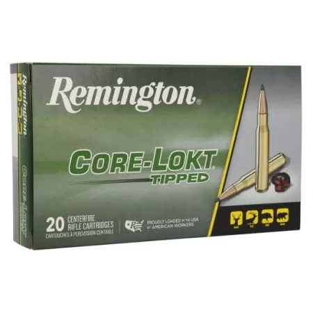 Remington Core-Lokt Brass .300 Win Mag 180 Grain 20-Rounds CLT