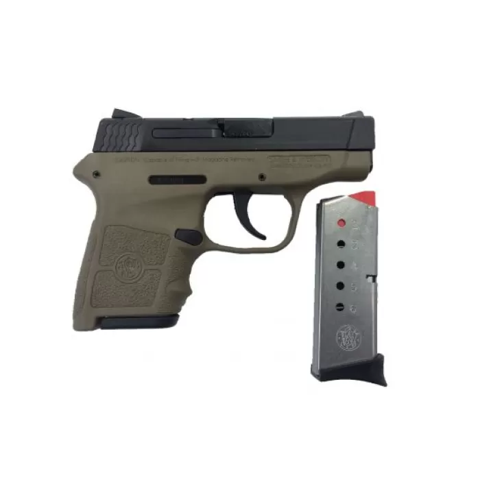 Smith & Wesson Bodyguard .380 Pistol w/o Laser, FDE - 10167