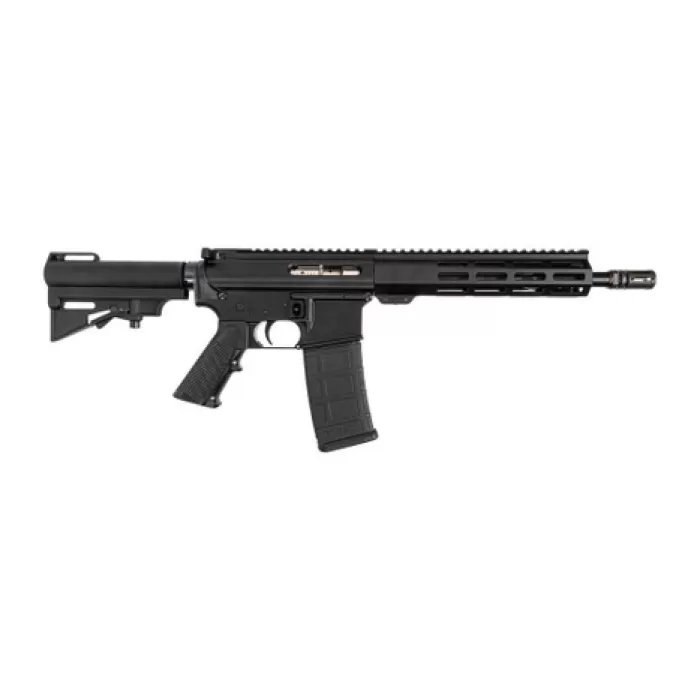 Dpms Panther Arms DP51655231683 DP-15 Shortacle 300 AAC Blackout 30+1 10.50" Black Nitride Threaded Barrel, Black Hardcoat Anodize Aluminum Receiver w/Picatinny Rail. M-LOK Handguard, Black Polymer Ad