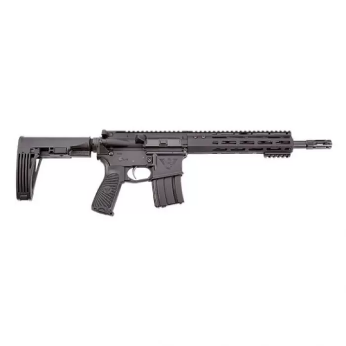 WILSON COMBAT PPE PISTOL W/ BRACE 5.56 WILSON COMBAT PPE PISTOL W/ BRACE 5.56