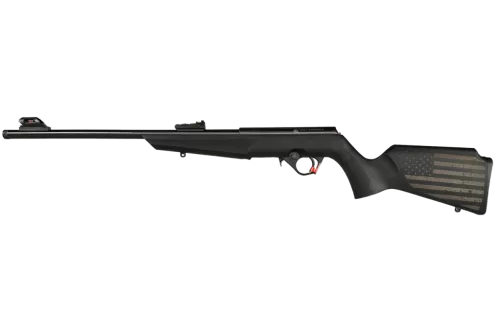 ROSSI RB 22LR 16.5 BLK 10RD EN01 US FLAG