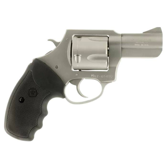 CHARTER ARMS PITBULL CHARTER ARMS PITBULL