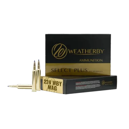 Weatherby 224 Wby Mag 37 Gr Hammer Custom 20 Rounds