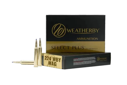 Weatherby 224 Wby Mag 37 Gr Hammer Custom 20 Rounds