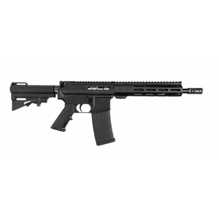 DPMS DP-15 DPMS DP-15