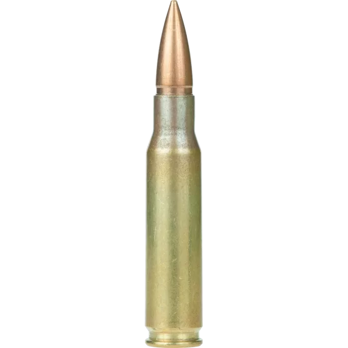 ARMSCOR RIFLE