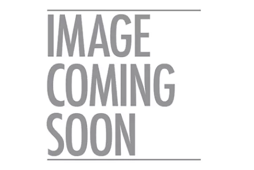 GFORCE ARMS 410 LEVER 20 7+1 YOUTH NICKEL WALNUT MOD CHK