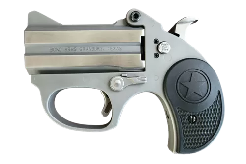 Bond Arms Stinger RS Stainless .380 ACP 2.5