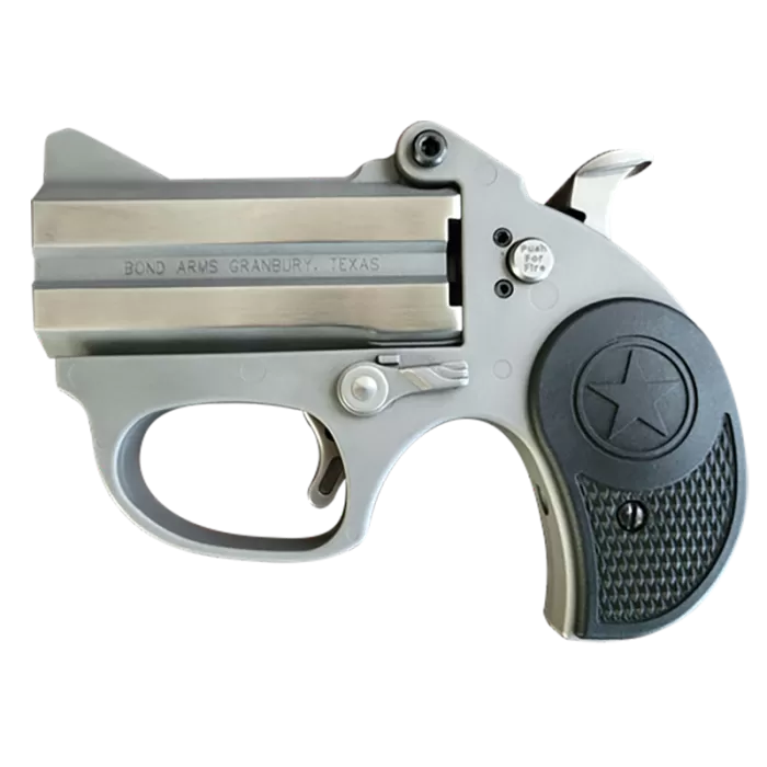 Bond Arms Stinger RS Stainless .380 ACP 2.5