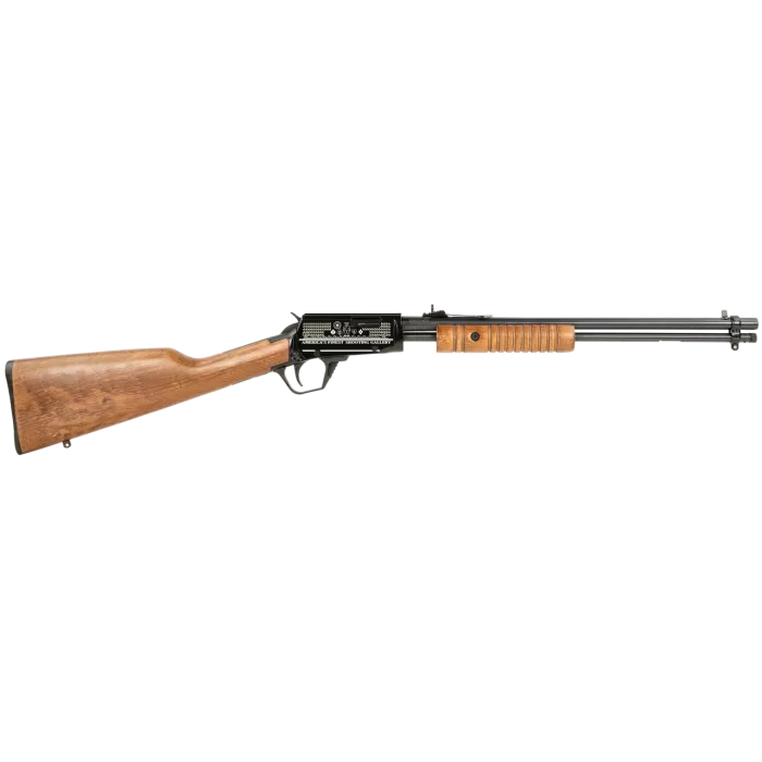 Rossi Gallery 22 LR, 18" Barrel, Engraved Reciever, Hardwood Stock, 15rd Rossi Gallery 22 LR, 18" Barrel, Engraved Reciever, Hardwood Stock, 15rd