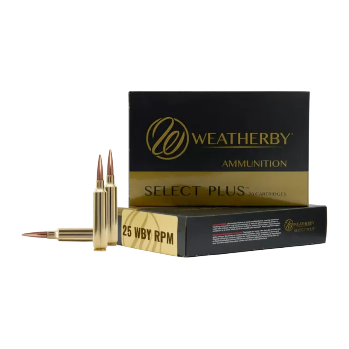 WTHBY B25RPM117LRX 25WBY RPM 117G BARNES LRX 20/10