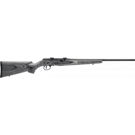 Savage Arms 47801 A17 WSM Sporter 17WSM 22