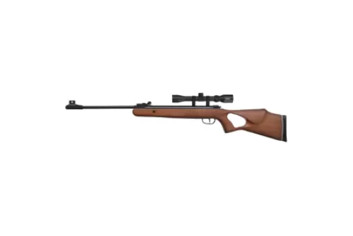 BLG DIANA TWO-FIFTY .22 24 JOULE